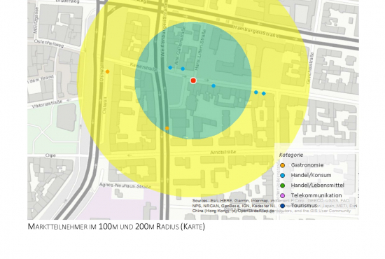 Standortanalyse für einen Musterstandort (hier: Marktteilnehmer in Mikrolage), erstellt mit Go*Local durch SHOPUNITS.DE